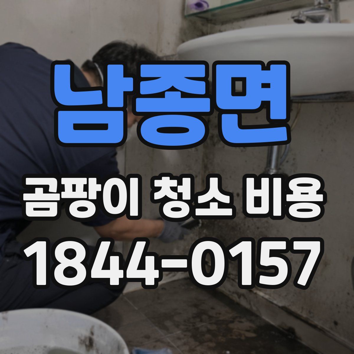 남종면 곰팡이 청소 비용