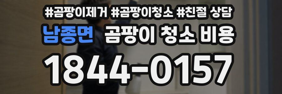 남종면 곰팡이 청소 비용