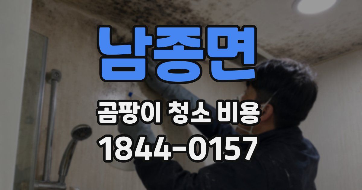 남종면 곰팡이 청소 비용