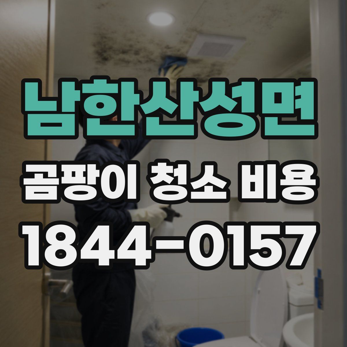 남한산성면 곰팡이 청소 비용