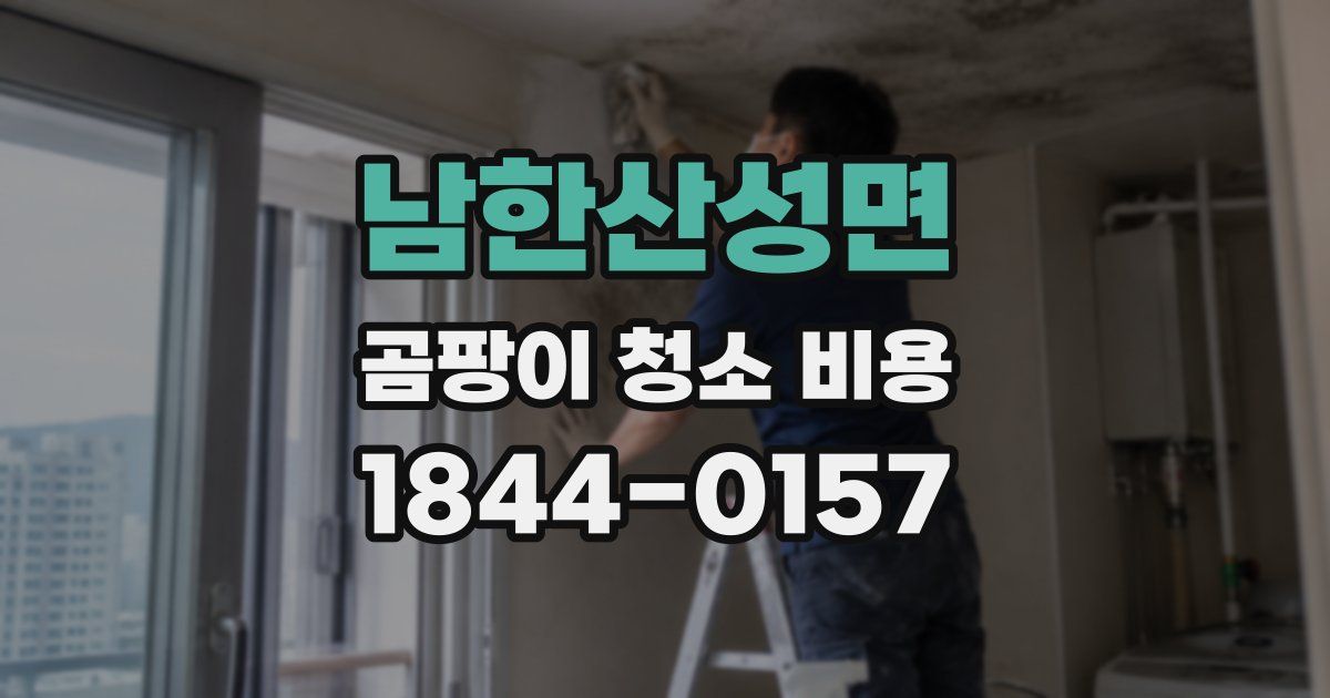 남한산성면 곰팡이 청소 비용