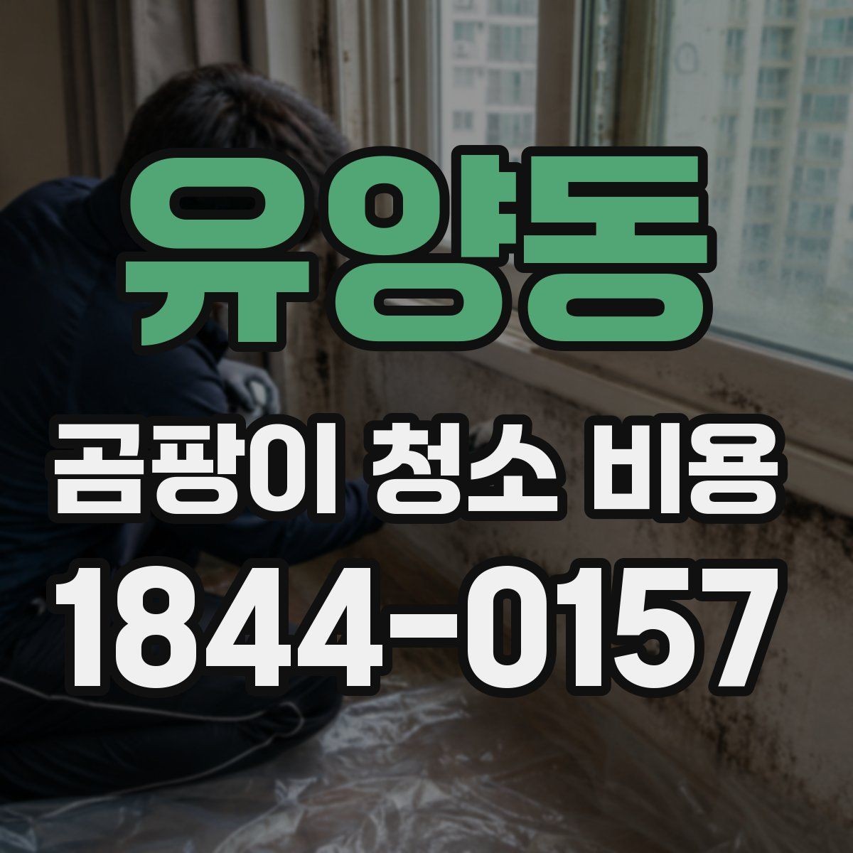 유양동 곰팡이 청소 비용 책정에 영향을 주는 요소들