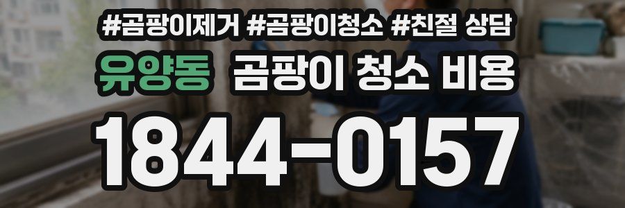 유양동 곰팡이 청소 비용
