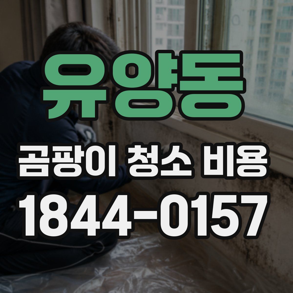 유양동 곰팡이 청소 비용