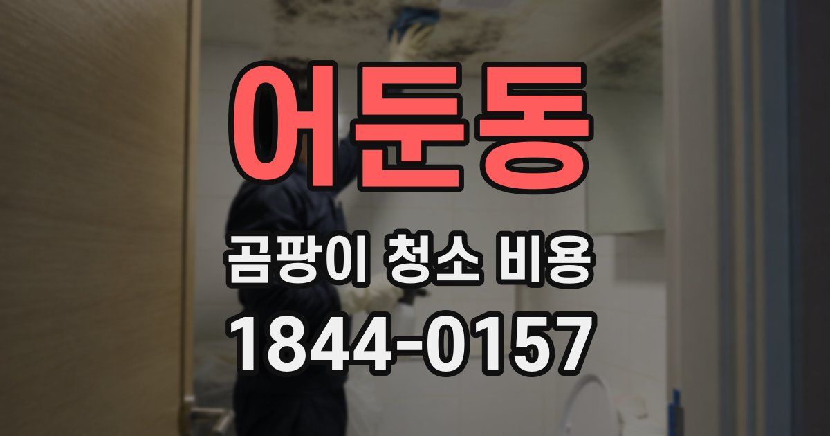 어둔동 곰팡이 청소 비용