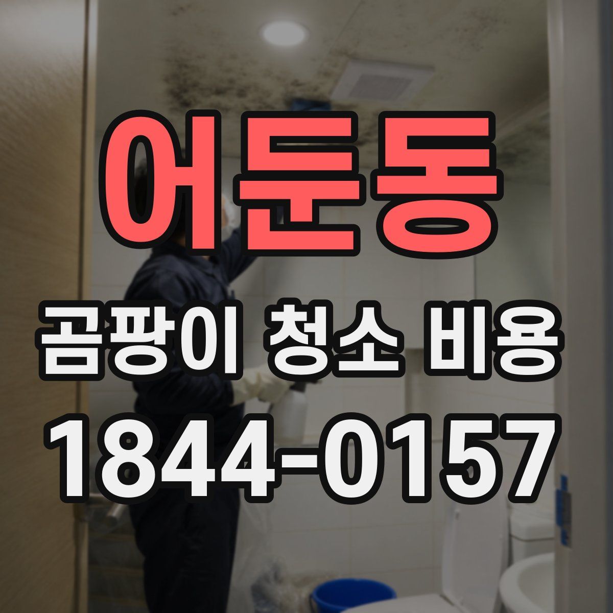 어둔동 곰팡이 청소 비용