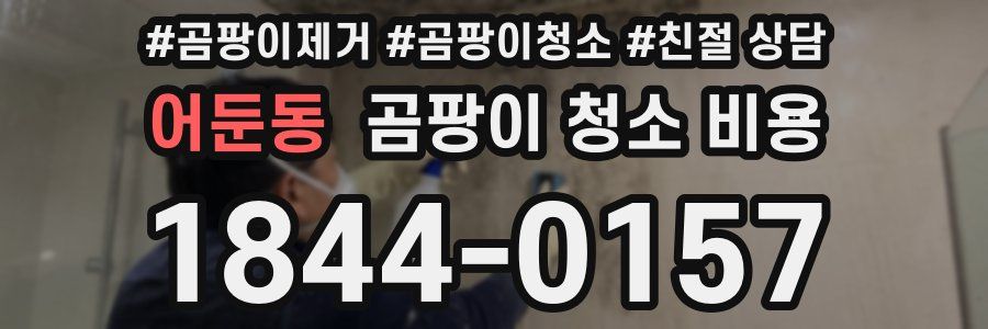 어둔동 곰팡이 청소 비용