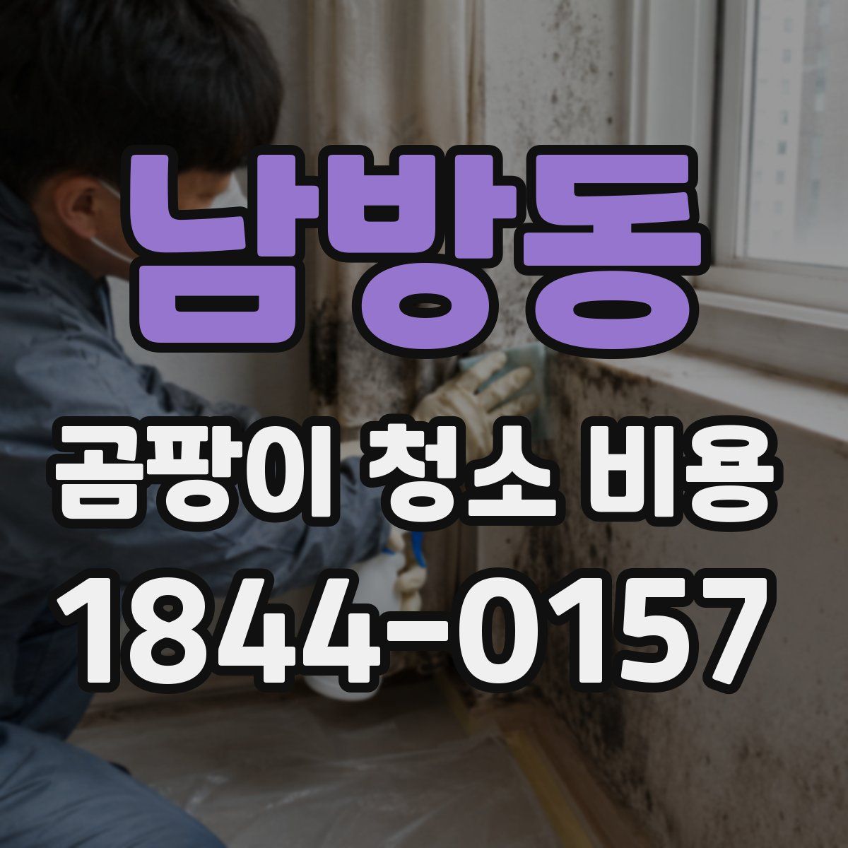 남방동 곰팡이 청소 비용
