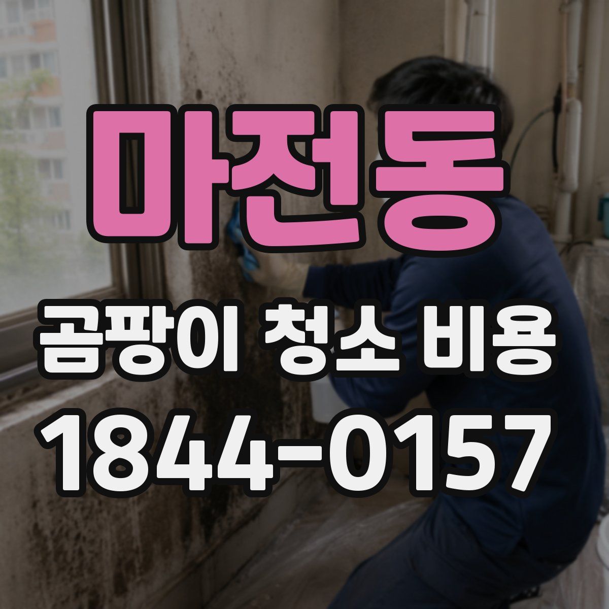 마전동 곰팡이 청소 비용