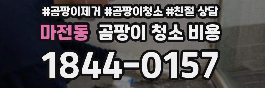 마전동 곰팡이 청소 비용