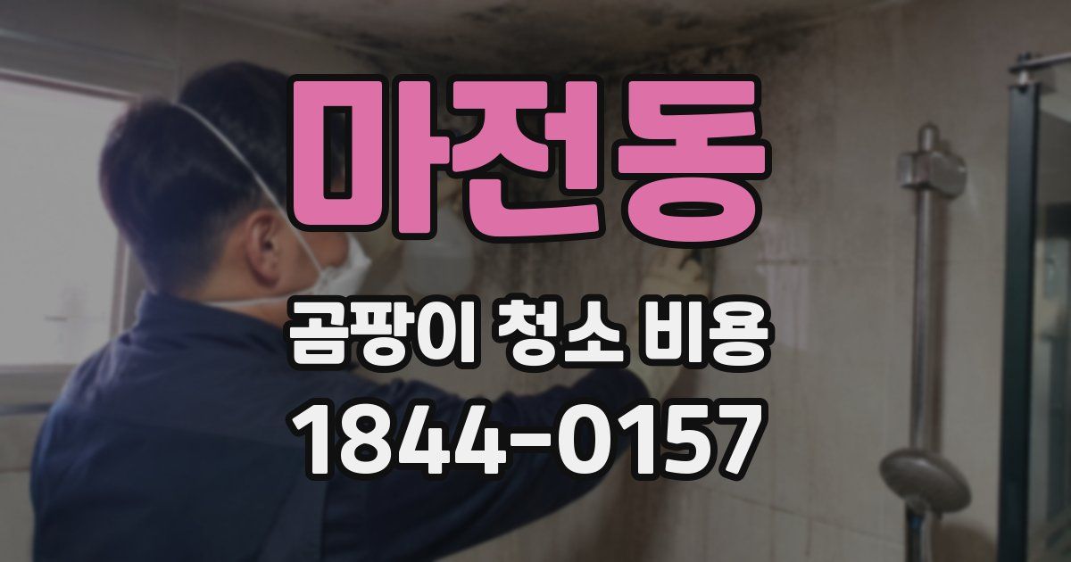 마전동 곰팡이 청소 비용