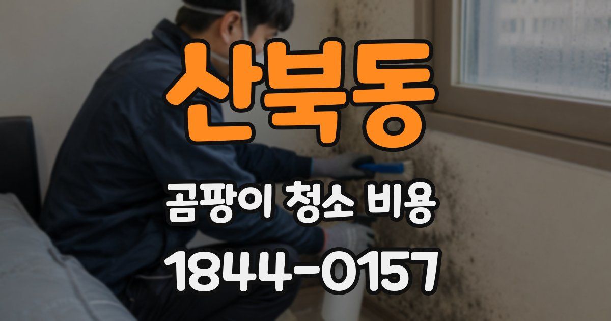 산북동 곰팡이 청소 비용