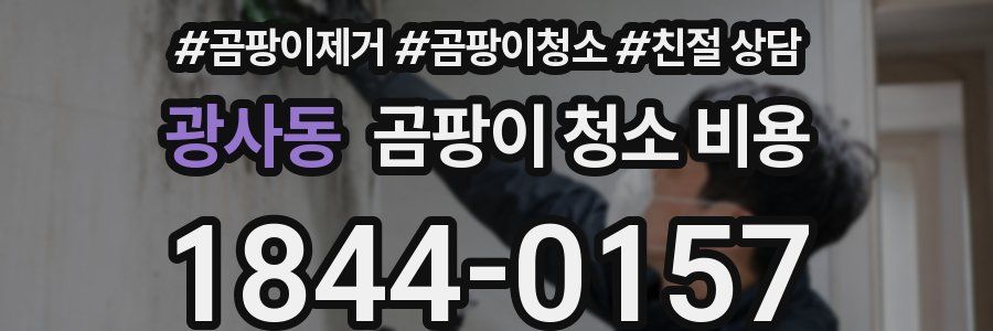 광사동 곰팡이 청소 비용