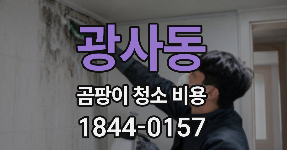 광사동 곰팡이 청소 비용