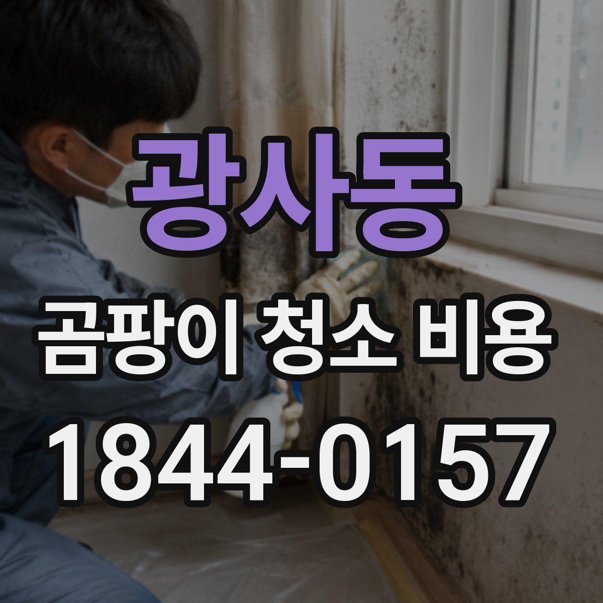 광사동 곰팡이 청소 비용