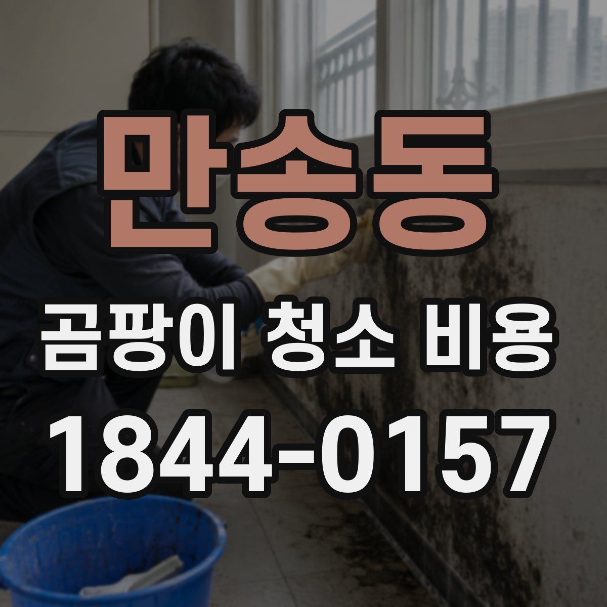만송동 곰팡이 청소 비용