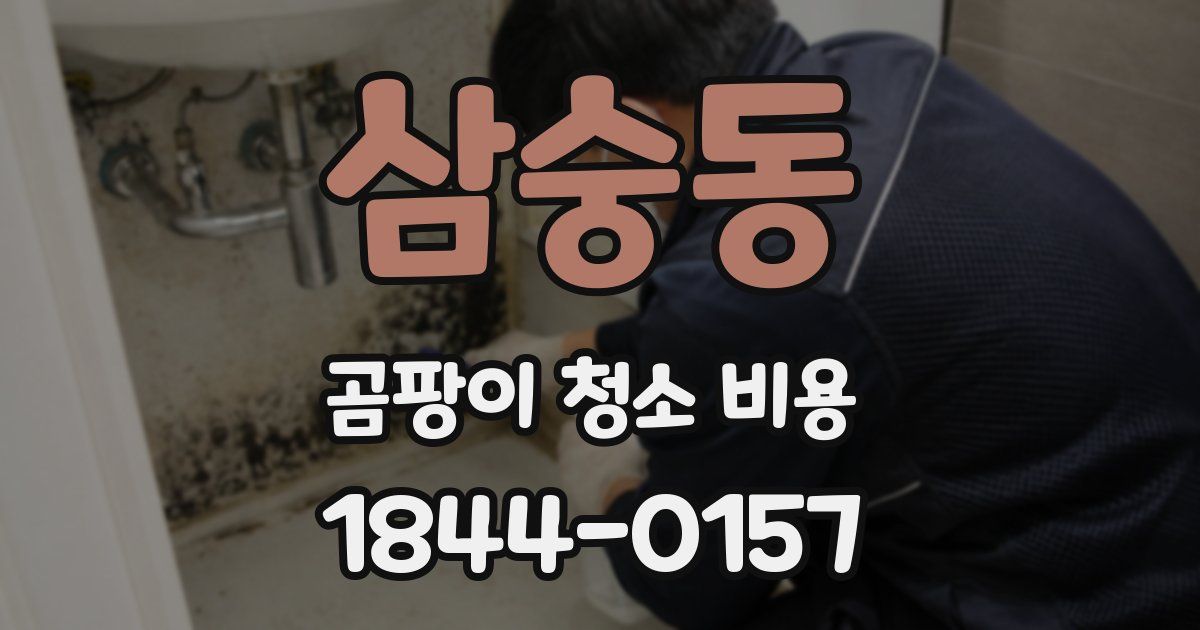 삼숭동 곰팡이 청소 비용