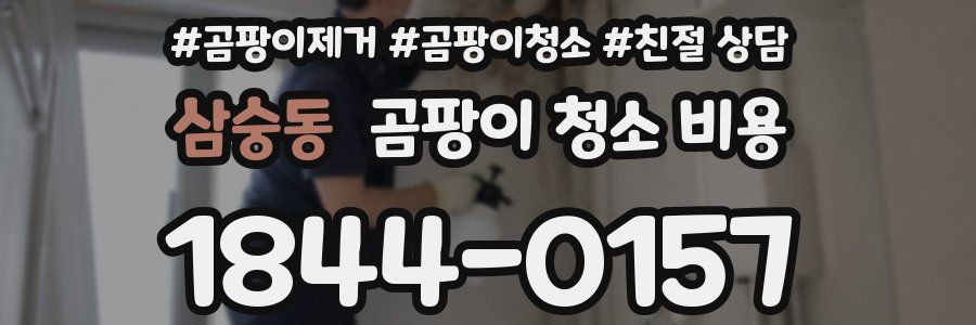 삼숭동 곰팡이 청소 비용