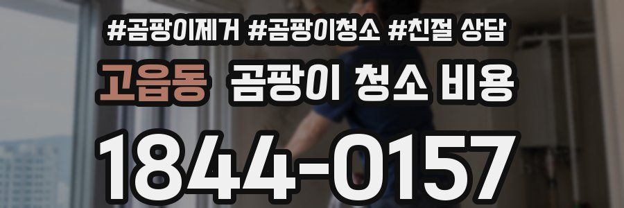 고읍동 곰팡이 청소 비용