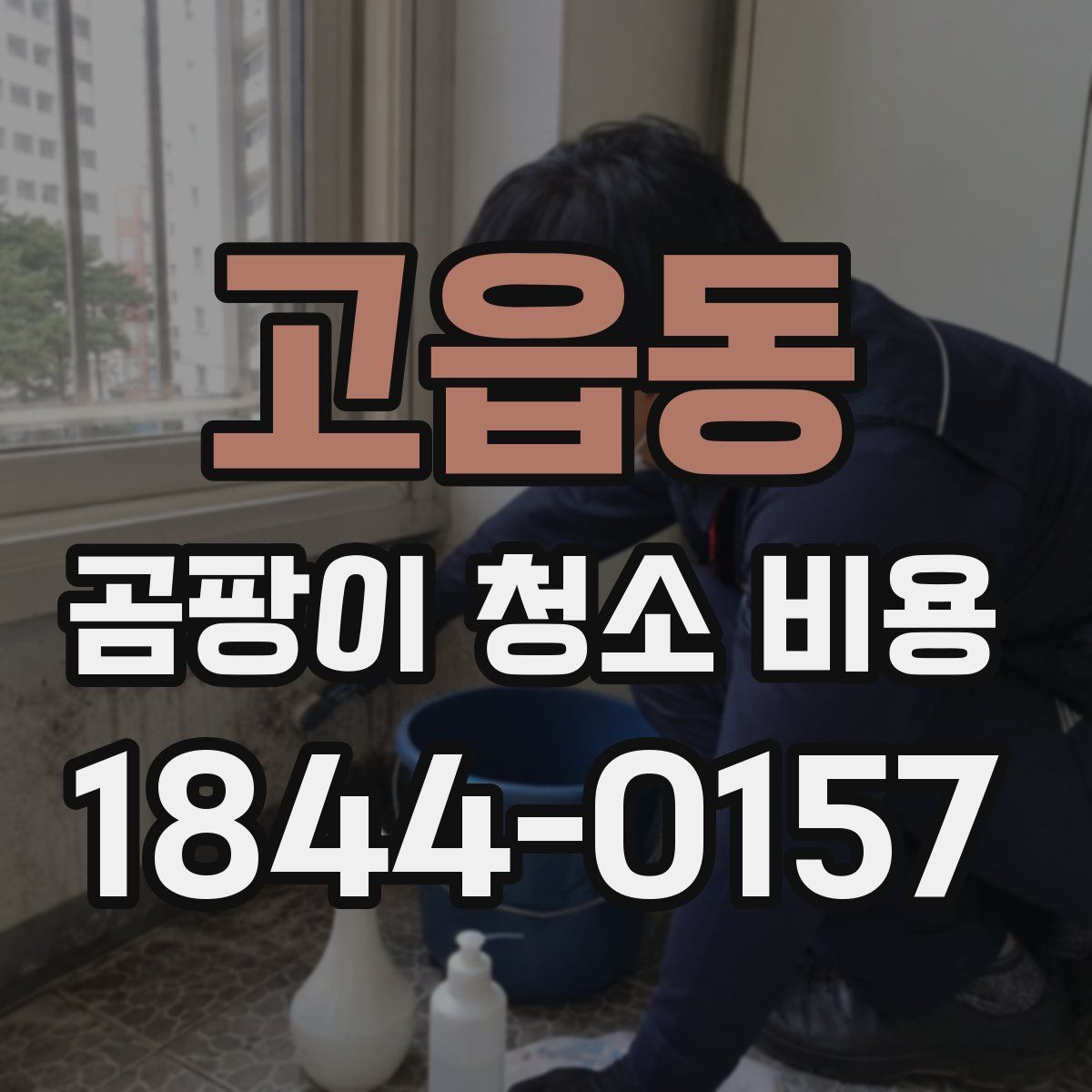 고읍동 곰팡이 청소 비용