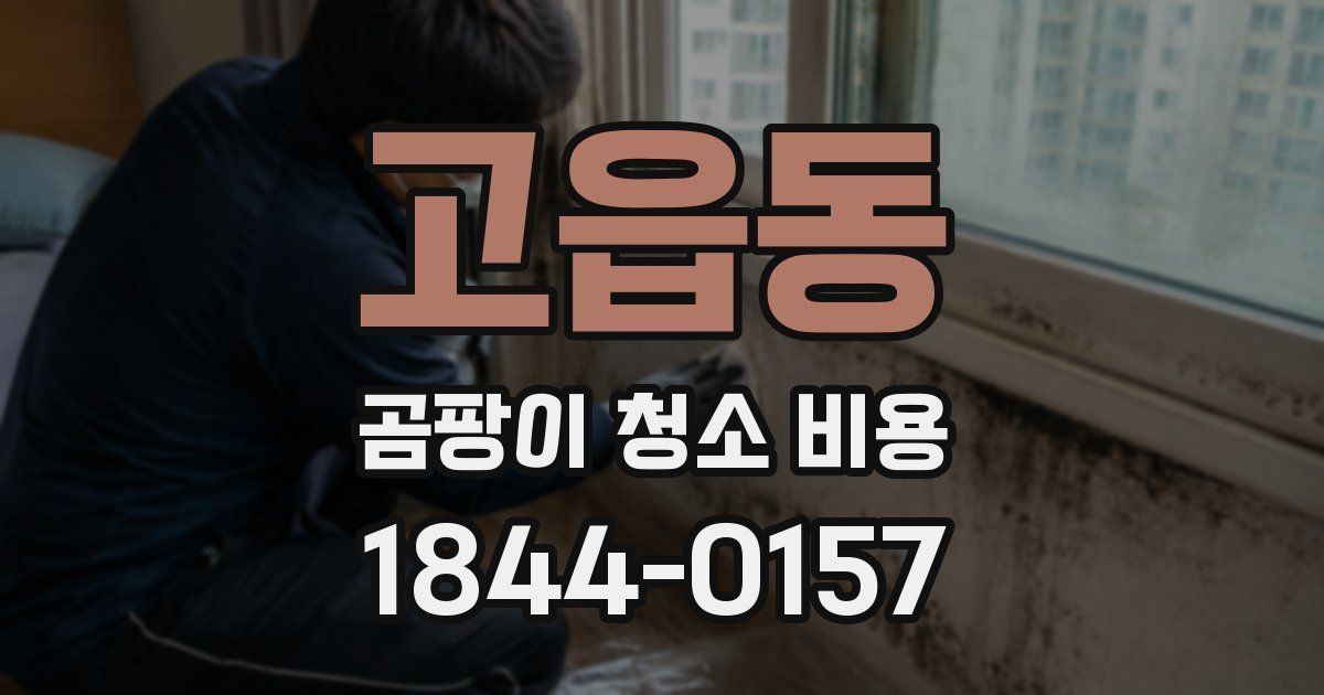 고읍동 곰팡이 청소 비용