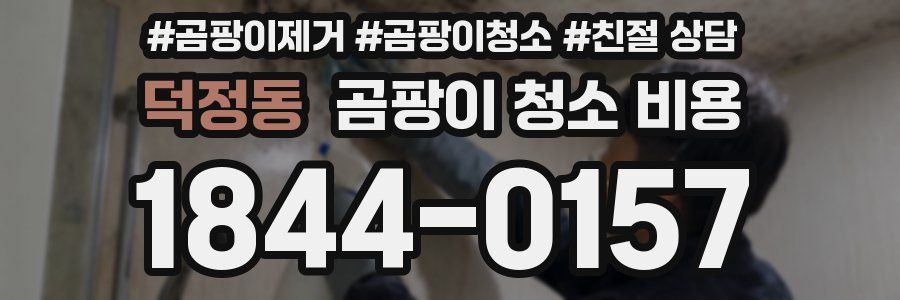 덕정동 곰팡이 청소 비용