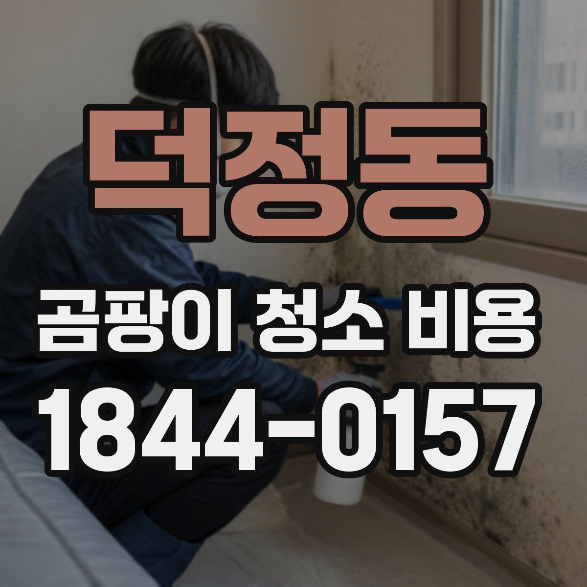 덕정동 곰팡이 청소 비용