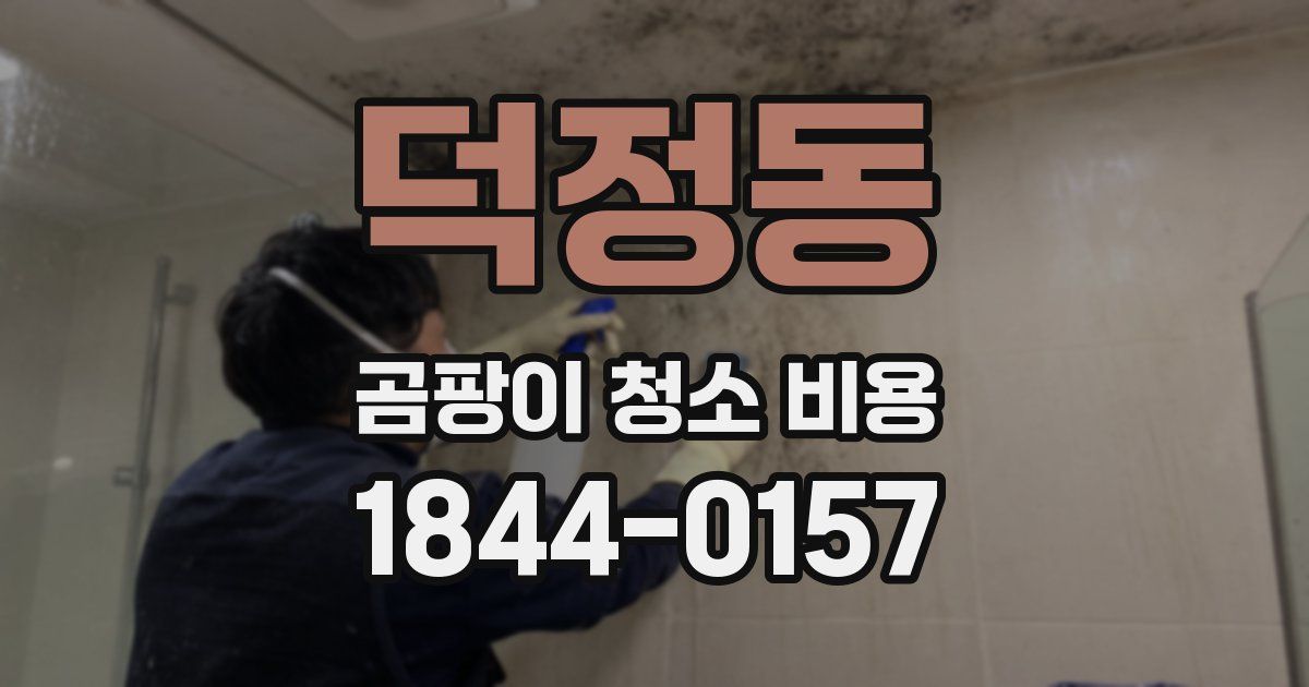 덕정동 곰팡이 청소 비용