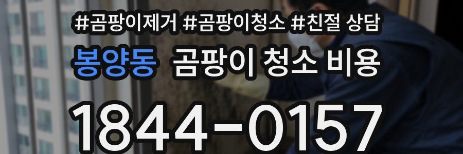봉양동 곰팡이 청소 비용
