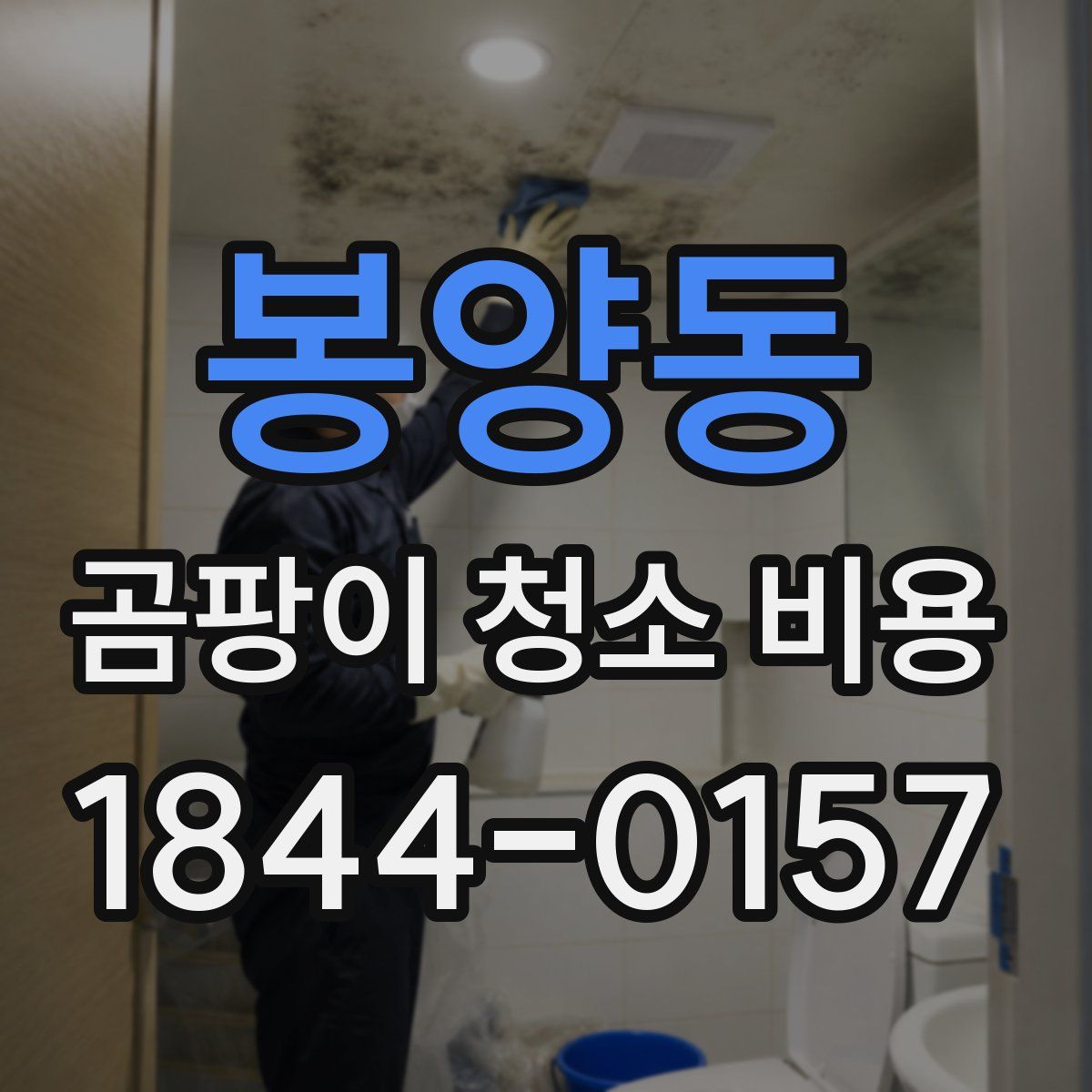 봉양동 곰팡이 청소 비용
