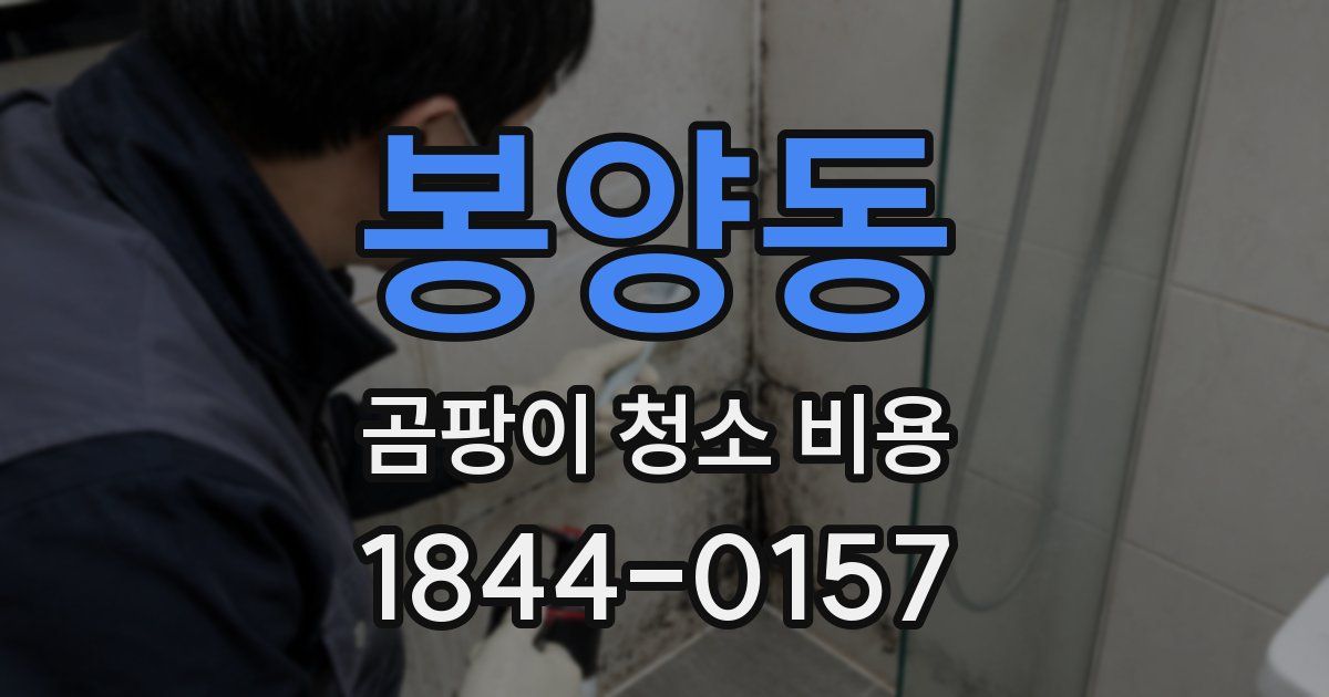 봉양동 곰팡이 청소 비용