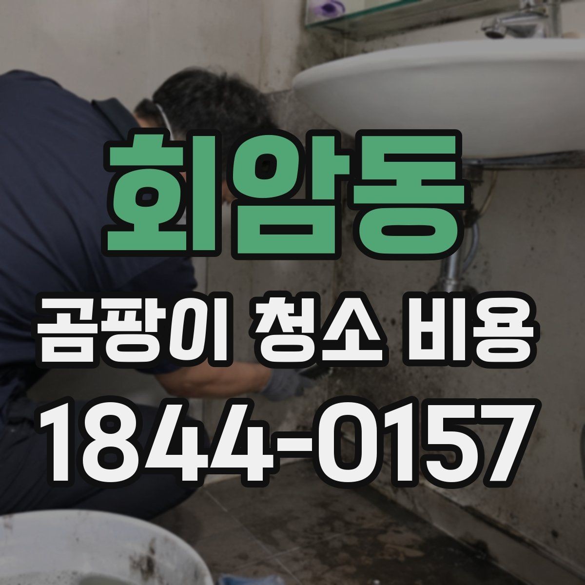 회암동 곰팡이 청소 비용 확인할 때 자주 묻는 질문