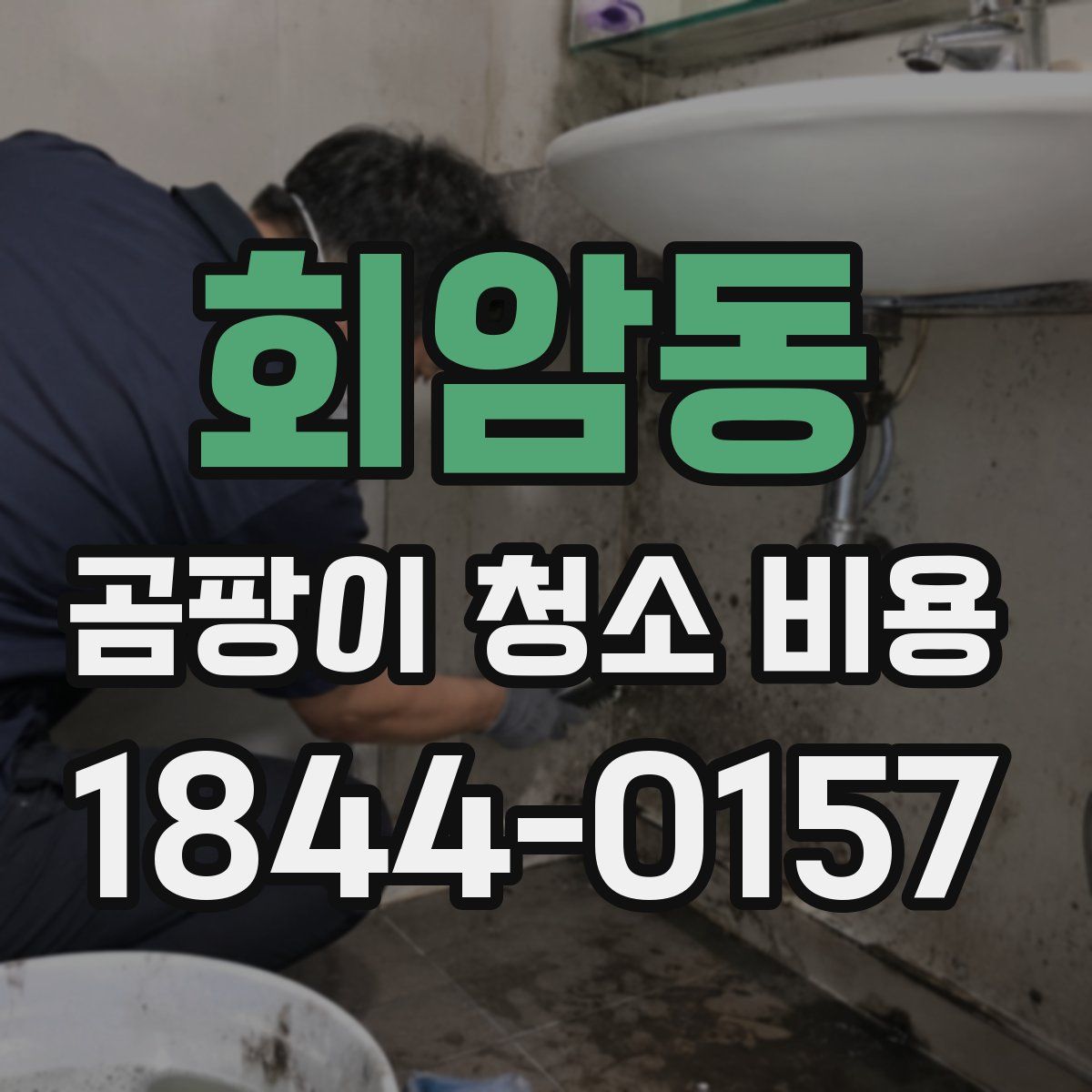 회암동 곰팡이 청소 비용