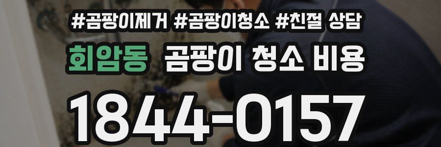 회암동 곰팡이 청소 비용
