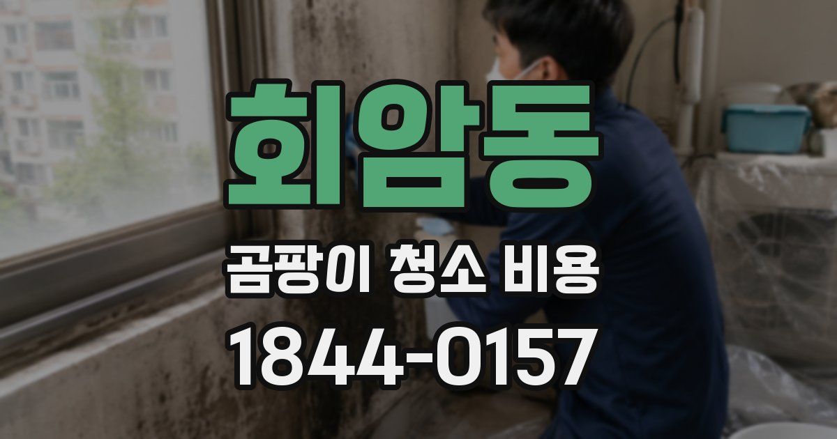 회암동 곰팡이 청소 비용