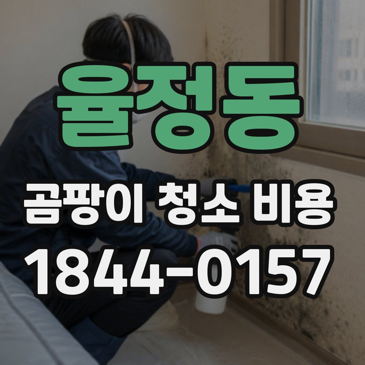 율정동 곰팡이 청소 비용