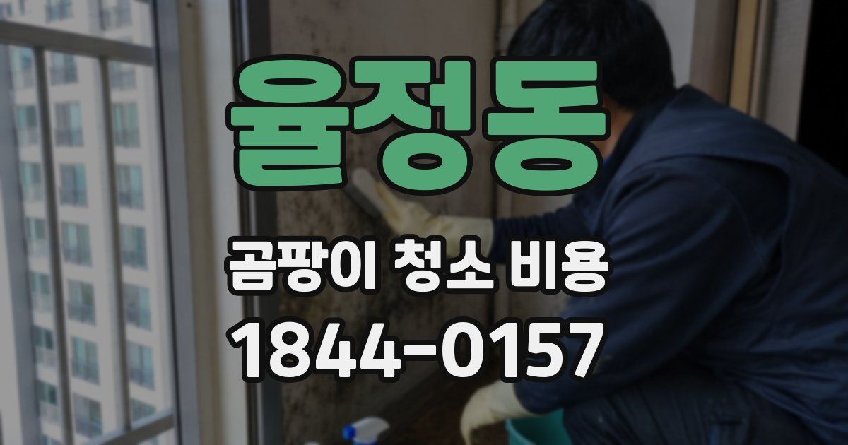 율정동 곰팡이 청소 비용