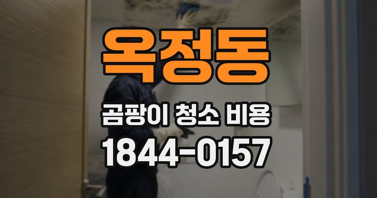 옥정동 곰팡이 청소 비용