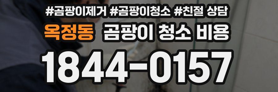옥정동 곰팡이 청소 비용