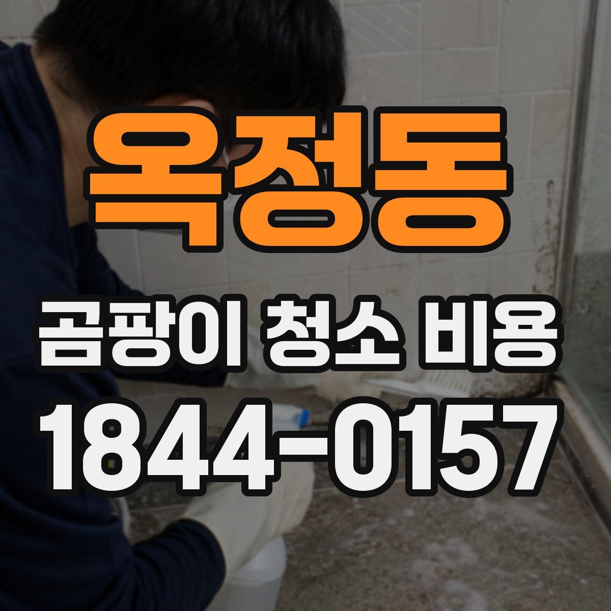 옥정동 곰팡이 청소 비용