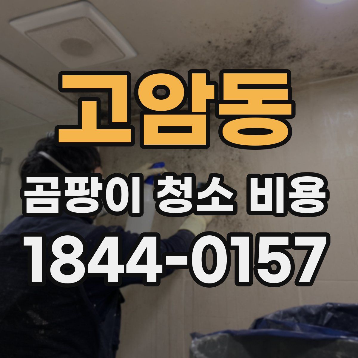 고암동 곰팡이 청소 비용