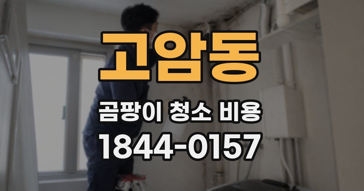 고암동 곰팡이 청소 비용