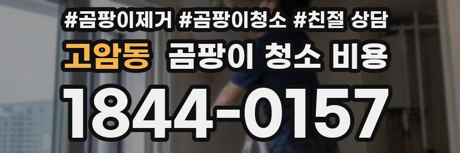 고암동 곰팡이 청소 비용