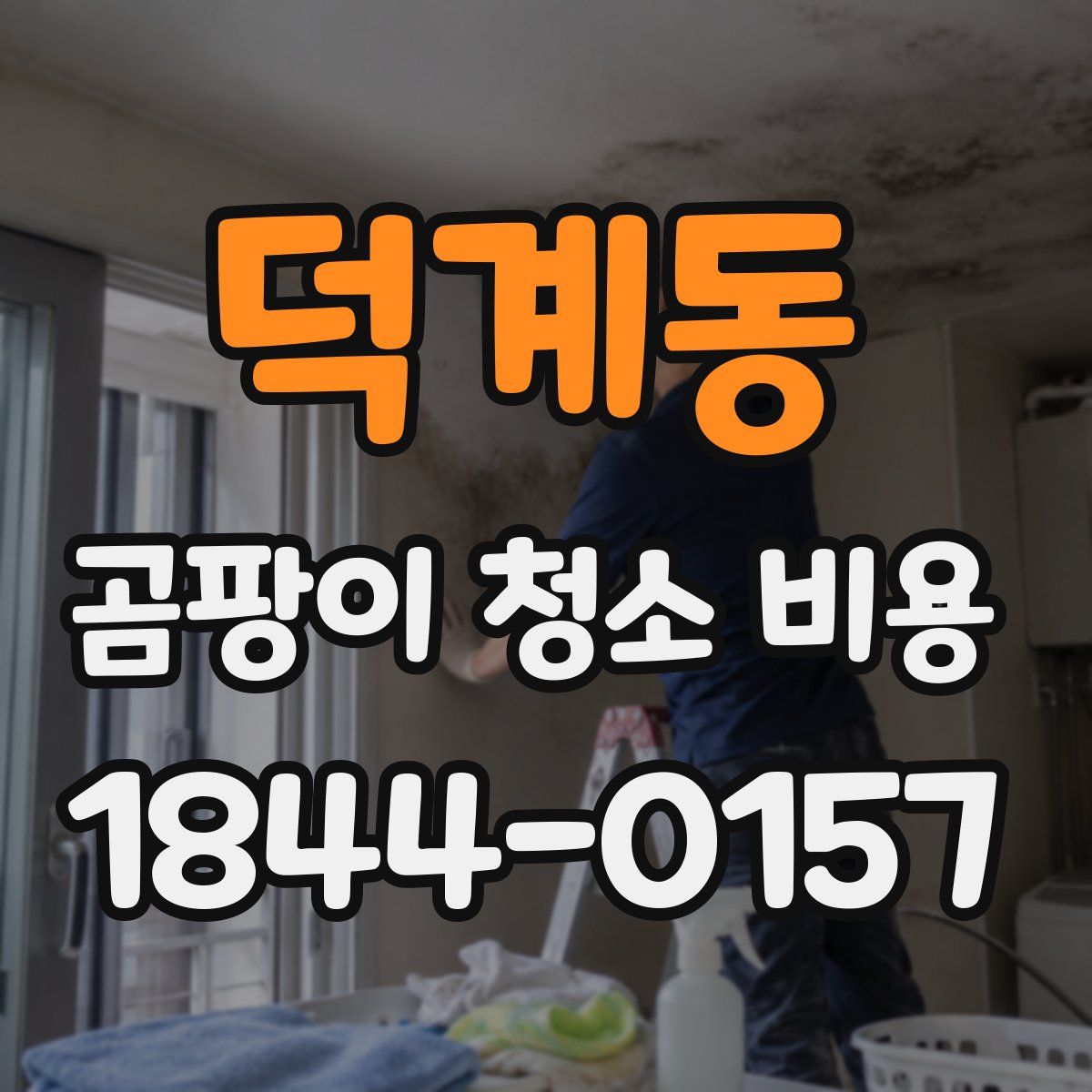덕계동 곰팡이 청소 비용