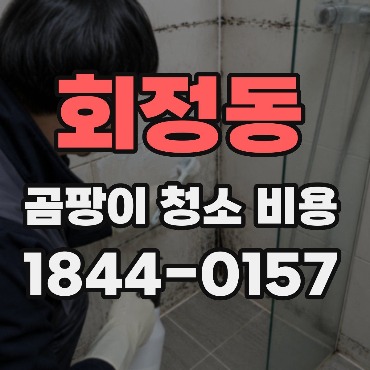 회정동 곰팡이 청소 비용
