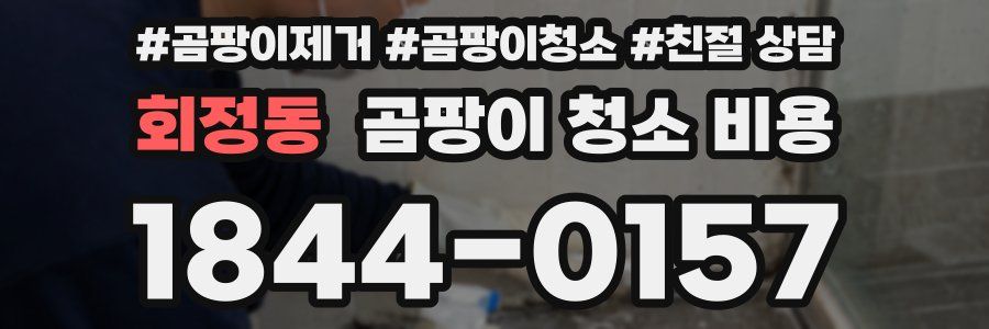 회정동 곰팡이 청소 비용