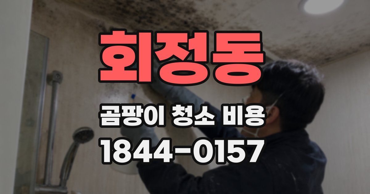 회정동 곰팡이 청소 비용