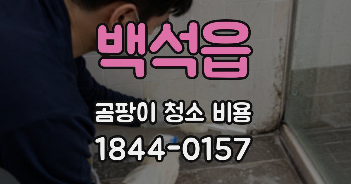 백석읍 곰팡이 청소 비용