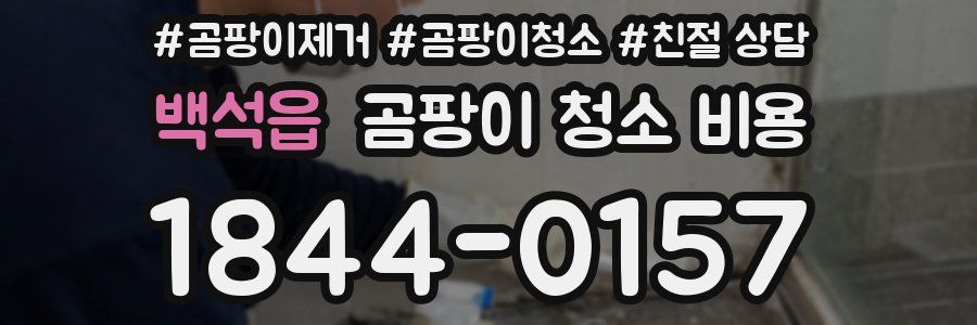 백석읍 곰팡이 청소 비용