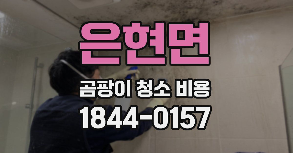 은현면 곰팡이 청소 비용